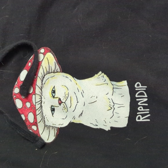 Ripndip hoodie - Picture 2 of 4